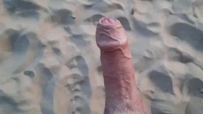جدول الحفلة